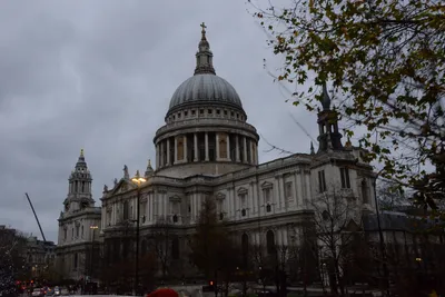 DSC_5646 (Large).JPG